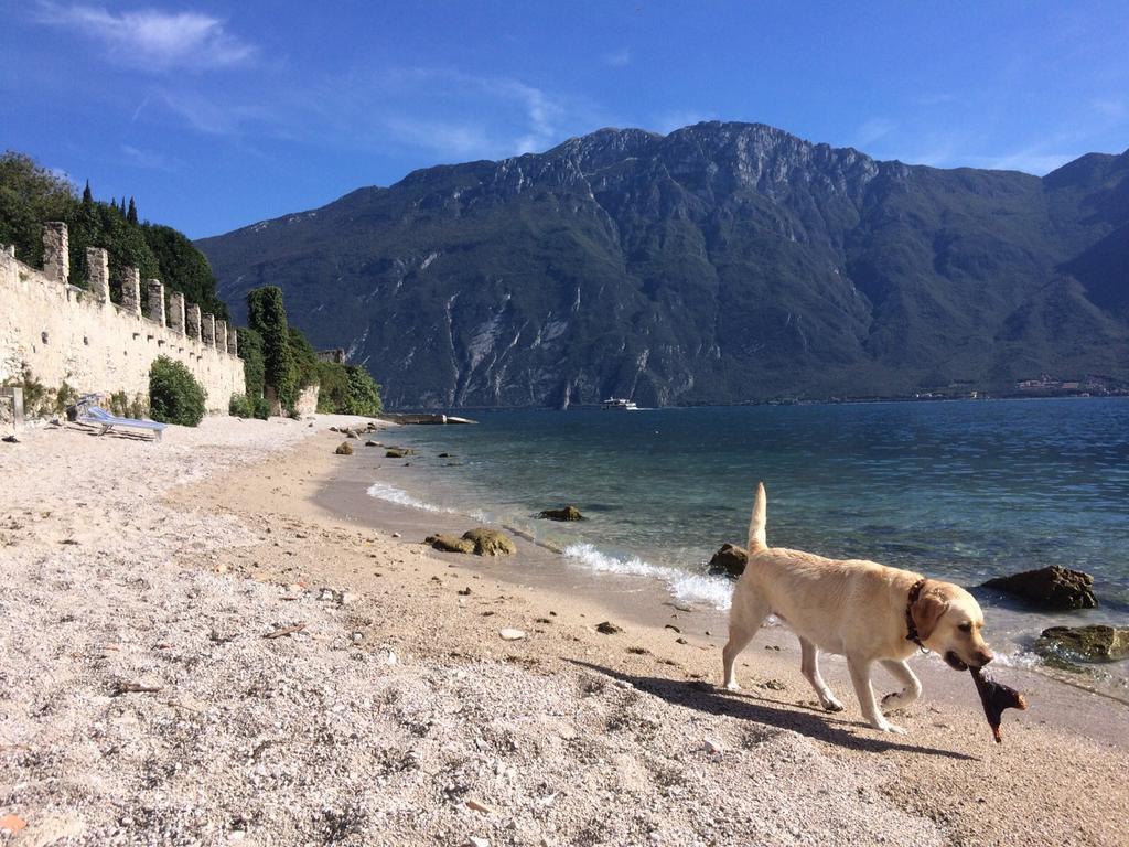 B&B Casa Limone Limone sul Garda Exterior photo